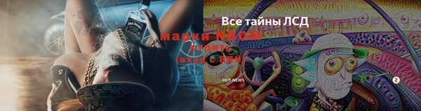 спиды Алексин