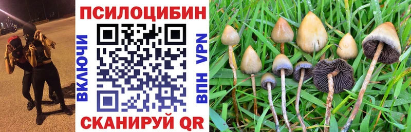 купить  сайты  это какой сайт  Галлюциногенные грибы мухоморы  Заозёрный 